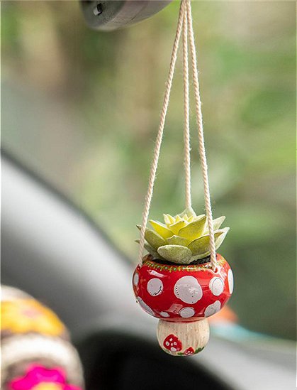 Hängende Mini Succulente Mushroom von NOÏ &#9733; Kundenbewertung "Sehr gut" &#9733; 12&percnt; Rabatt für Neukunden &#9733; Schnell verschickt &#9733; bei car-Moebel.de