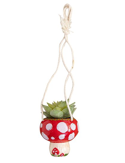 Hängende Mini Succulente Mushroom von NOÏ &#9733; Kundenbewertung "Sehr gut" &#9733; 10&euro; Rabatt für Neukunden &#9733; Schnell verschickt &#9733; bei car-Moebel.de